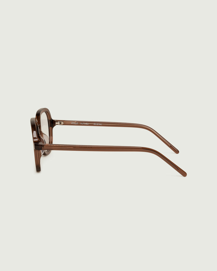 Nutmeg::Apollo Eyeglasses round brown acetate side