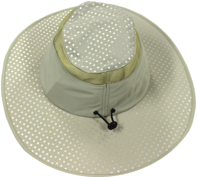 Arctic Hat
