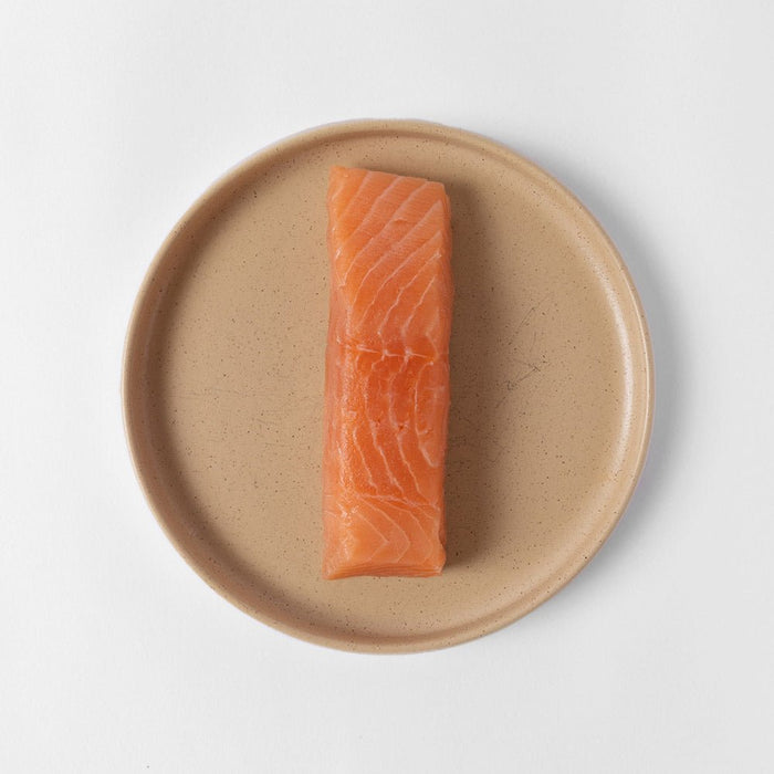 Atlantic Salmon - SEATOPIA