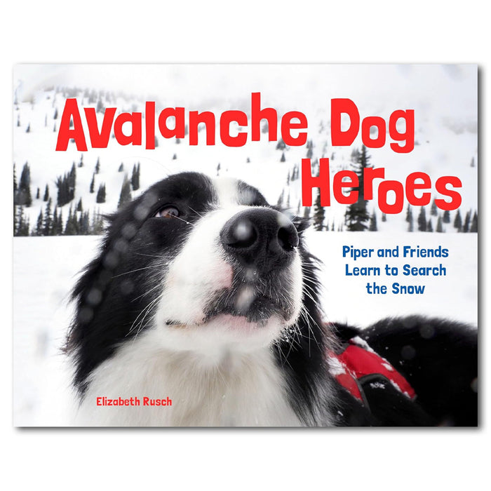 Avalanche Dog - Library of Congress Shop