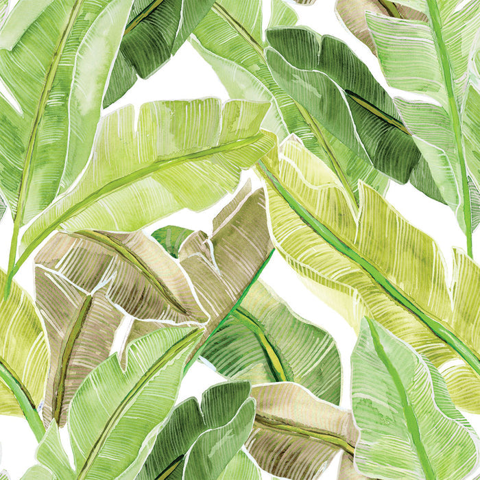 SINGLE ROLL / Key Lime