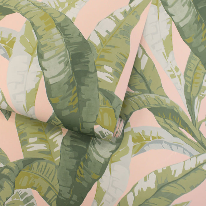 #color_green-and-pink