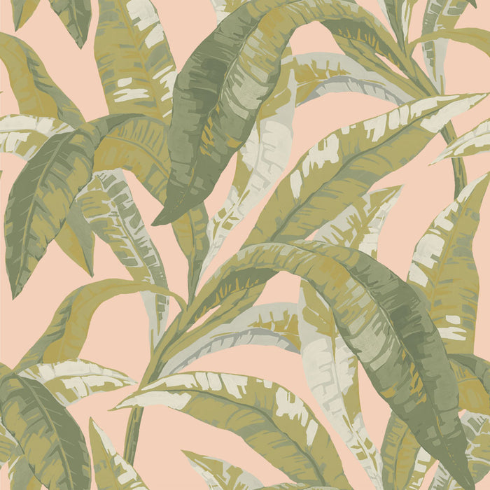 #color_green-and-pink