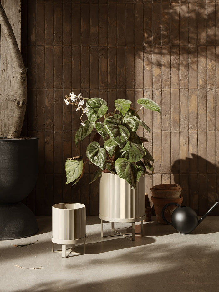 Bau Pot - More Options - BEAM