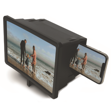 Big Picture + Vizmaxx Bundle
