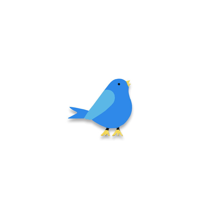 Bird Magnet
