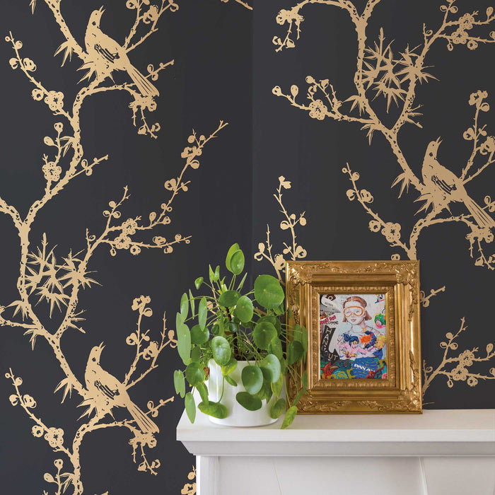 #color_black-and-gold-birds