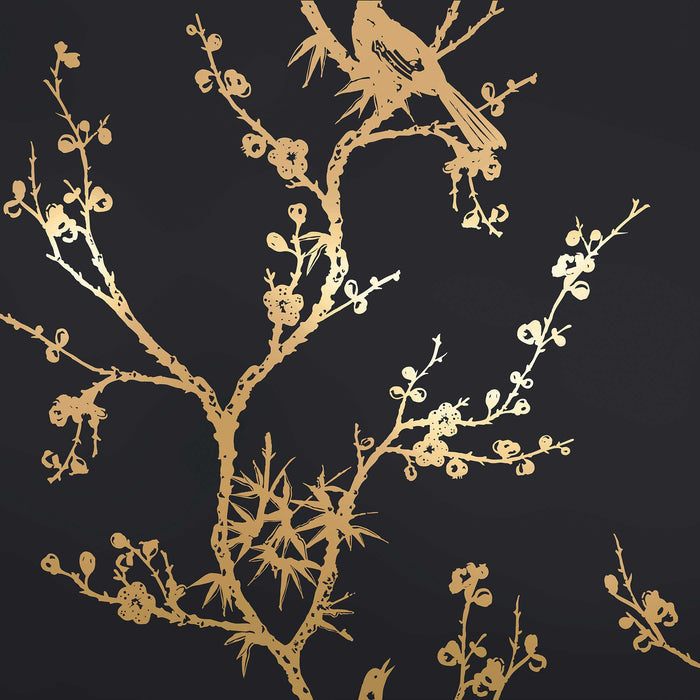 #color_black-and-gold-birds