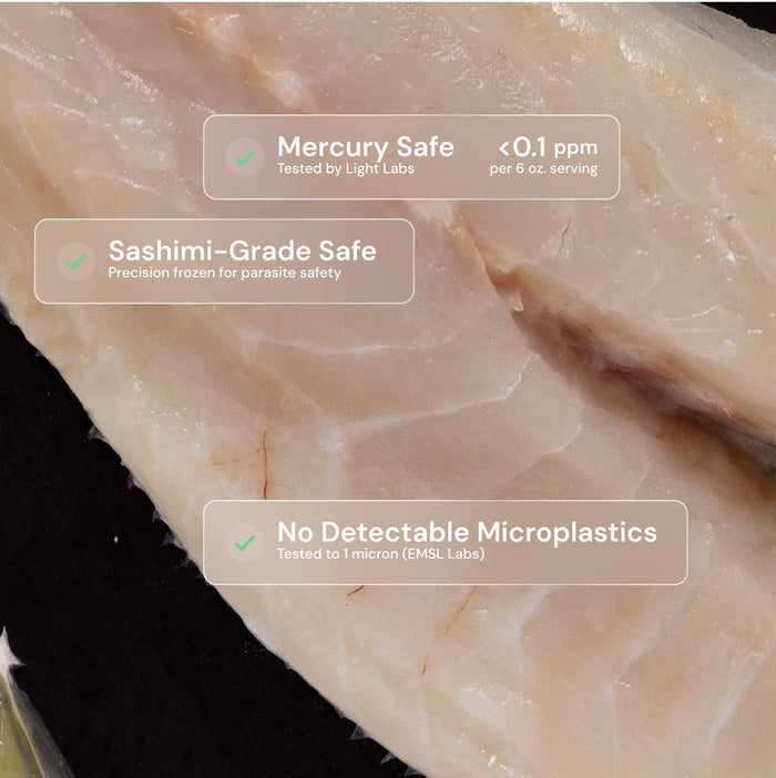 Branzino - SEATOPIA