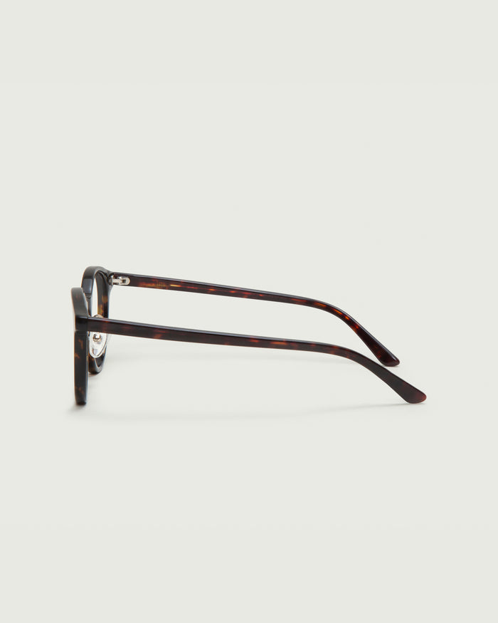 Dark Tort::Caine Eyeglasses round tort acetate side