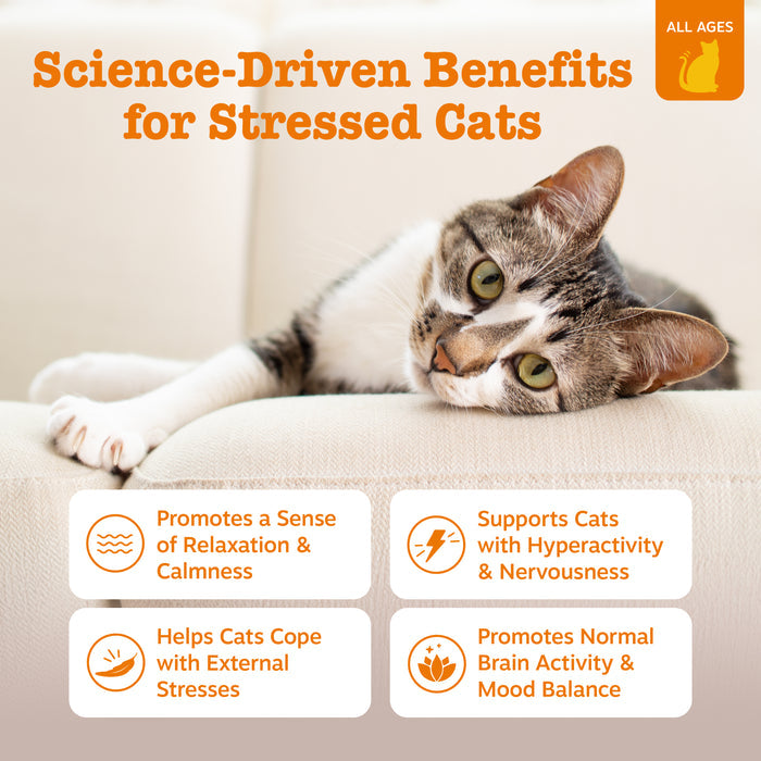 Tabby and white cat lying down with green eyes, surrounded by text boxes describing calming benefits for cats.