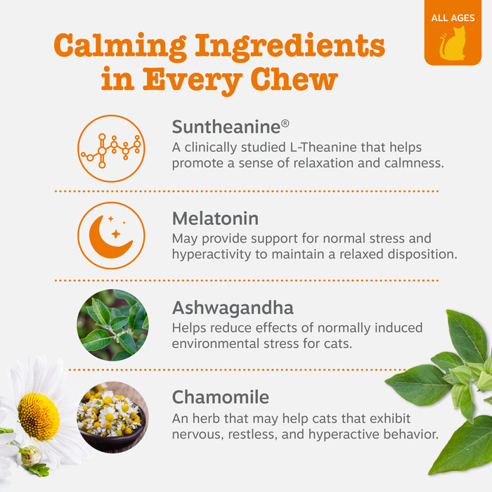 Infographic listing four calming ingredients for cats: Suntheanine, Melatonin, Ashwagandha, and Chamomile with descriptive te