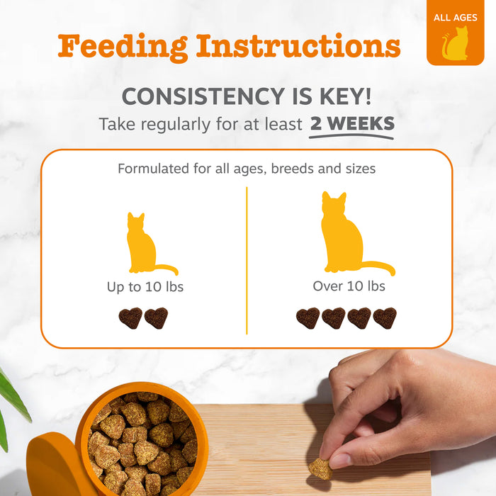 Feeding instructions card showing dosage guidelines for cat treats by weight, with illustrations and a hand holding a single