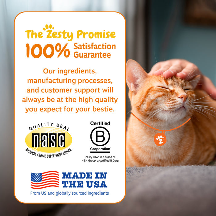 Orange tabby cat wearing orange collar with paw charm, next to product information card with satisfaction guarantee and certi