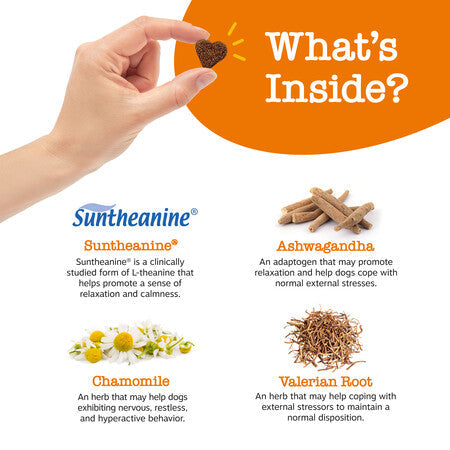 Hand holding brown dog treat with ingredient callouts for Suntheanine, Ashwagandha, Chamomile, and Valerian Root.
