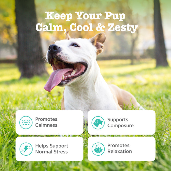White dog with tongue out sitting on grass with benefit icons for calmness, composition, stress support, and relaxation displ