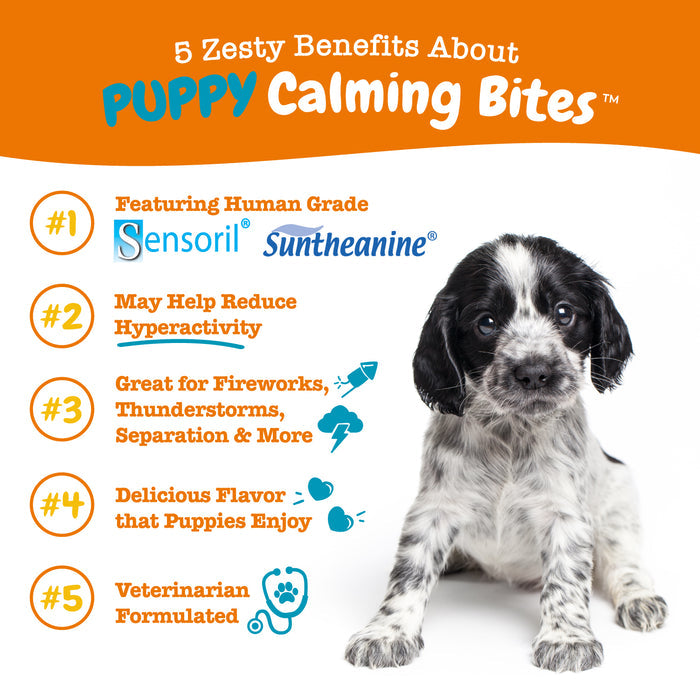 Black and white spotted puppy sitting on white background with orange text listing product benefits.