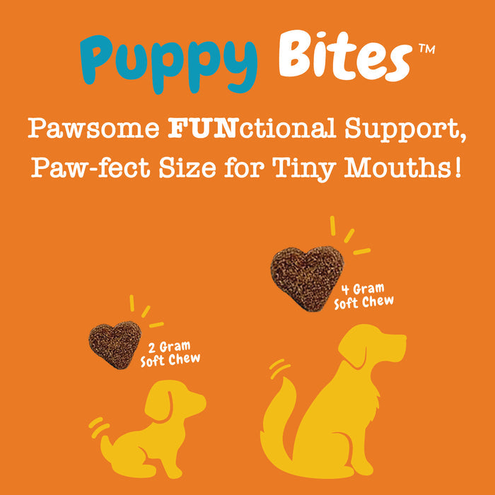 Heart-shaped brown soft chews in 2 gram and 4 gram sizes with yellow illustrated puppies on orange background.