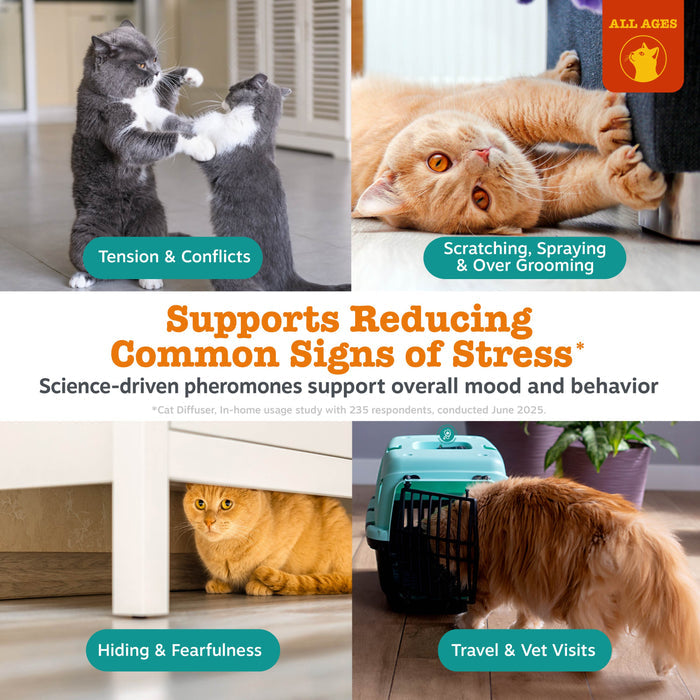 Infographic showing cats exhibiting stress behaviors with text about calming diffuser benefits and pheromone support.