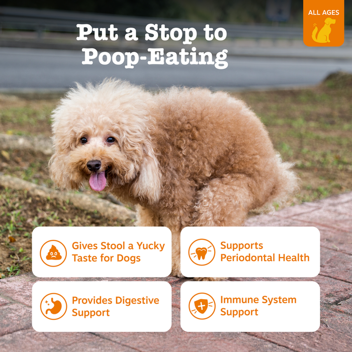 Tan curly-haired dog standing outdoors with tongue out, surrounded by benefit icons for digestive and dental health.