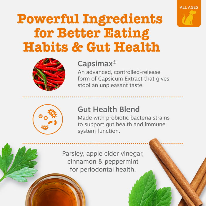Infographic showing dog chew ingredients including red peppers, probiotic bacteria icon, parsley, cinnamon sticks, and apple