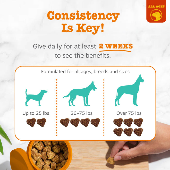 Dog breath treat dosage guide showing small, medium, and large breed silhouettes with heart-shaped bites and kibble portions.