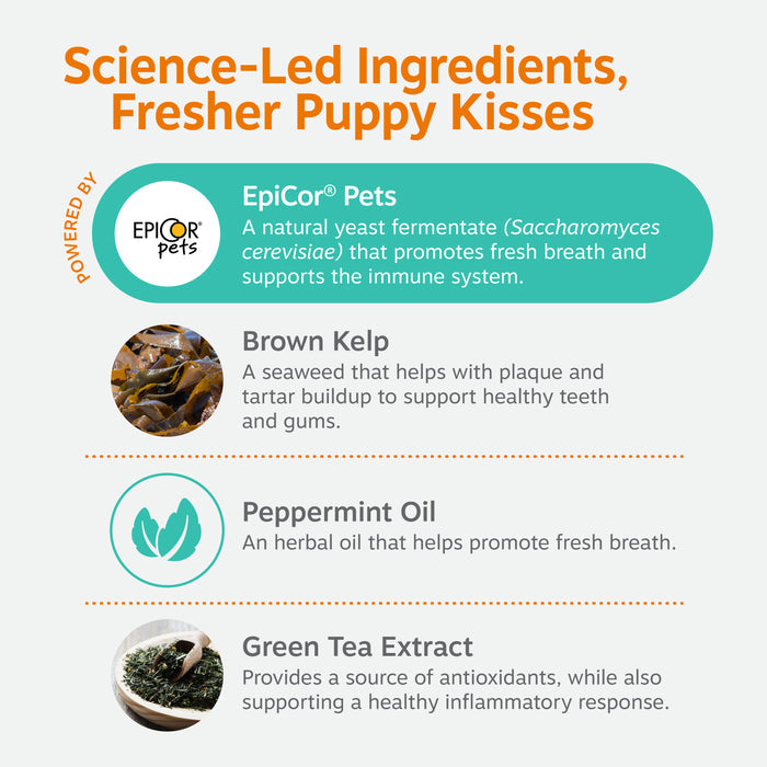 Infographic displaying four key ingredients: EpiCor Pets yeast fermentate, brown kelp, peppermint oil, and green tea extract.
