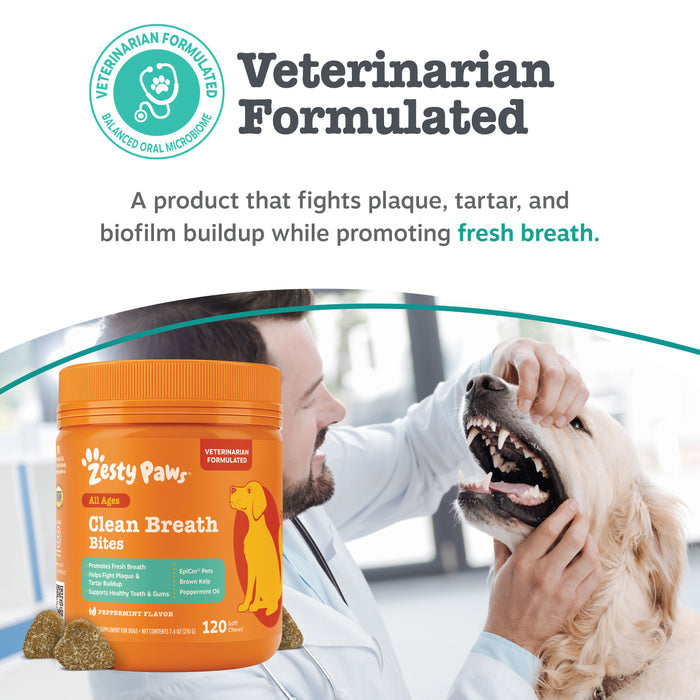 Orange Zesty Paw Clean Breath Bites container with veterinarian formulated seal next to person examining dog's teeth.