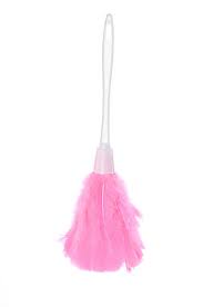 CLEAN HOUSE Duster - FD001 ebuystt