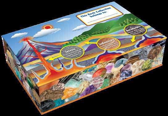 Collection Box Decorative