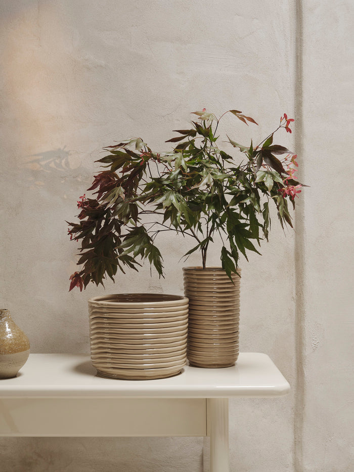 Corduroy Vase - More Options - BEAM