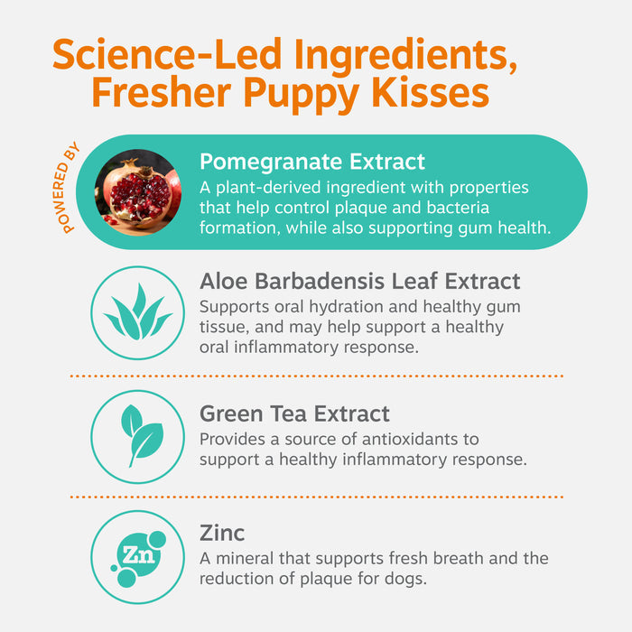 Infographic showing key ingredients including pomegranate extract, aloe barbadensis leaf extract, green tea extract, and zinc