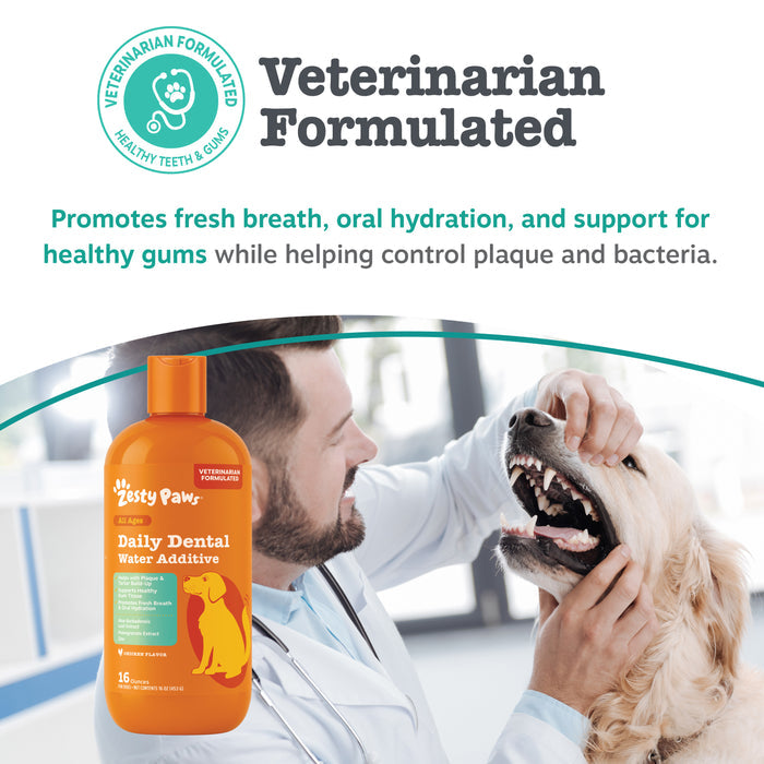 Orange bottle of Daily Dental Water Additive next to veterinarian examining dog's teeth.