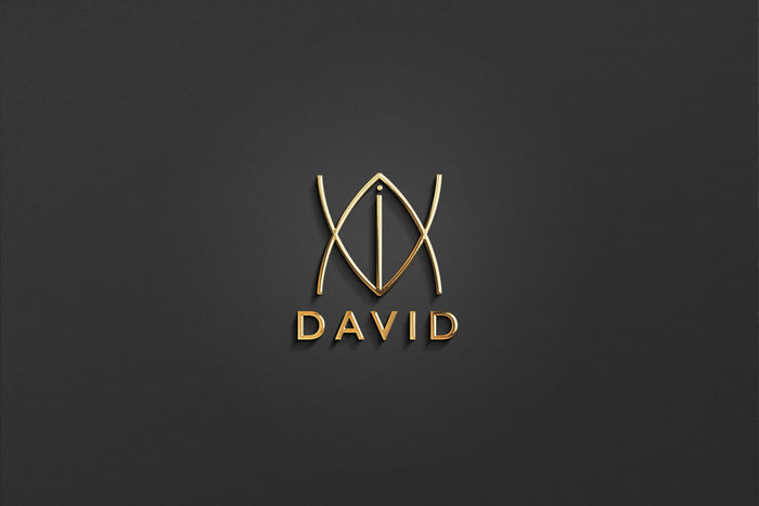 DAVID - Name Logo Design | Instant Download