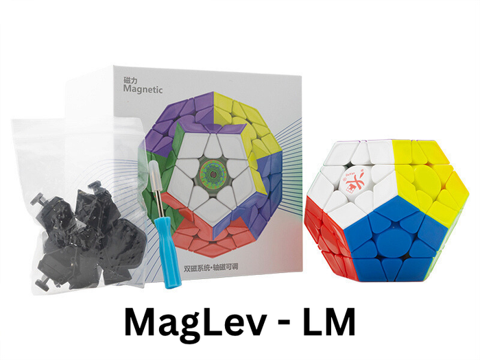 DaYan Megaminx Pro+ LM (MagLev) - Stickerless