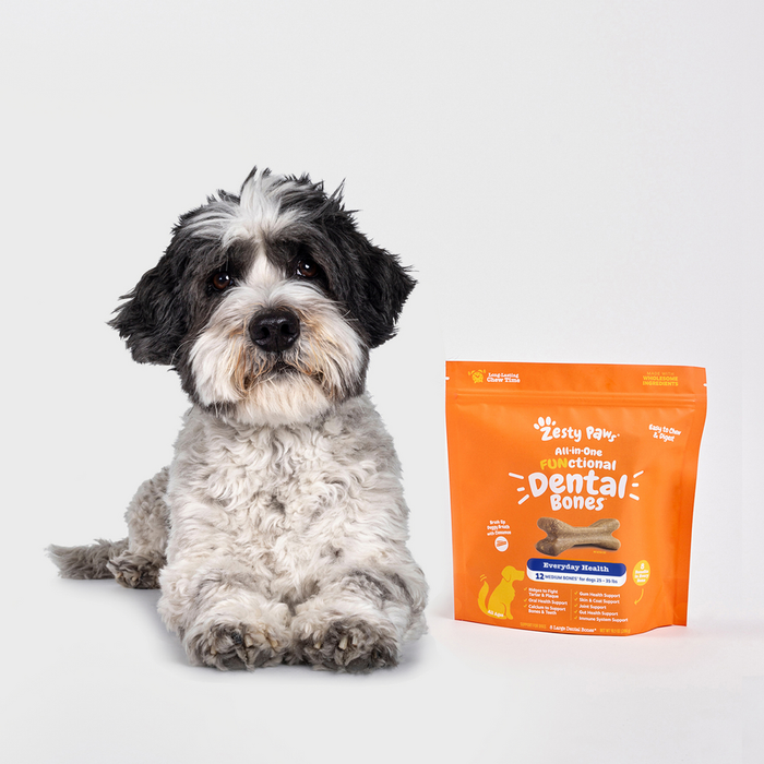 Black and white medium-sized dog sitting next to orange Dental Bones treat package.