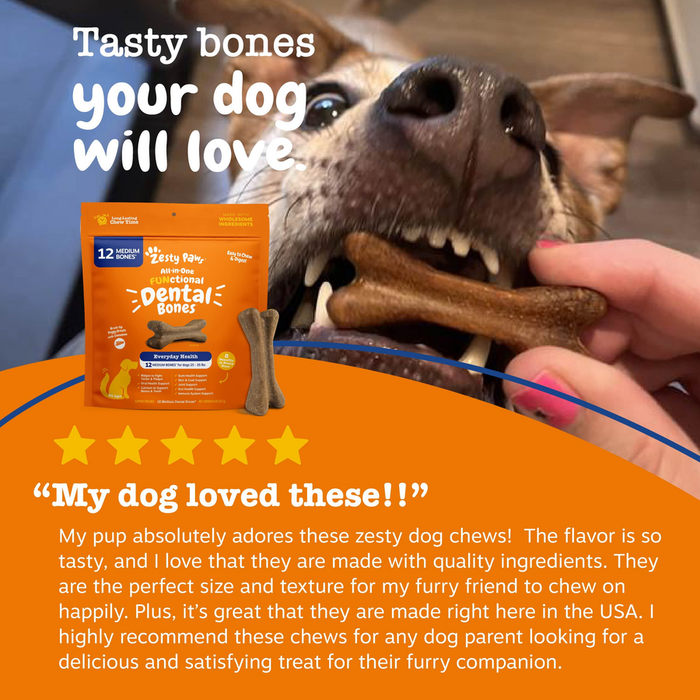 Brown dog chewing dental bone treat held in person's hand with orange product package visible.