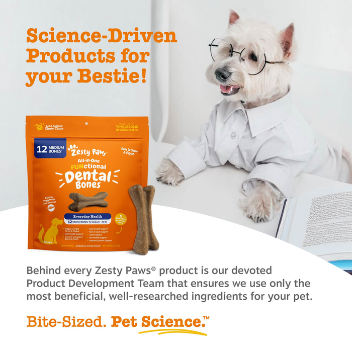 Orange Zesty Paws dental bones package displaying 12 medium-sized brown chew bones next to a white dog wearing glasses.