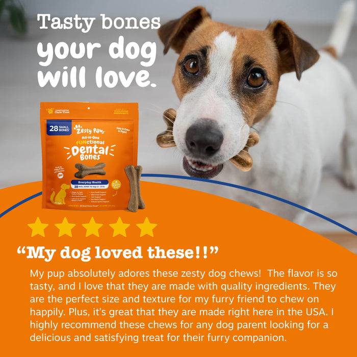 Small brown and white dog with orange dental bone treat package containing 28 small bones displayed on orange surface.