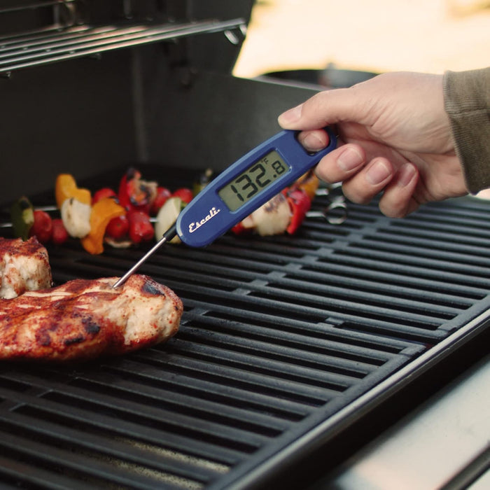 Digital Compact Folding Thermometer in use