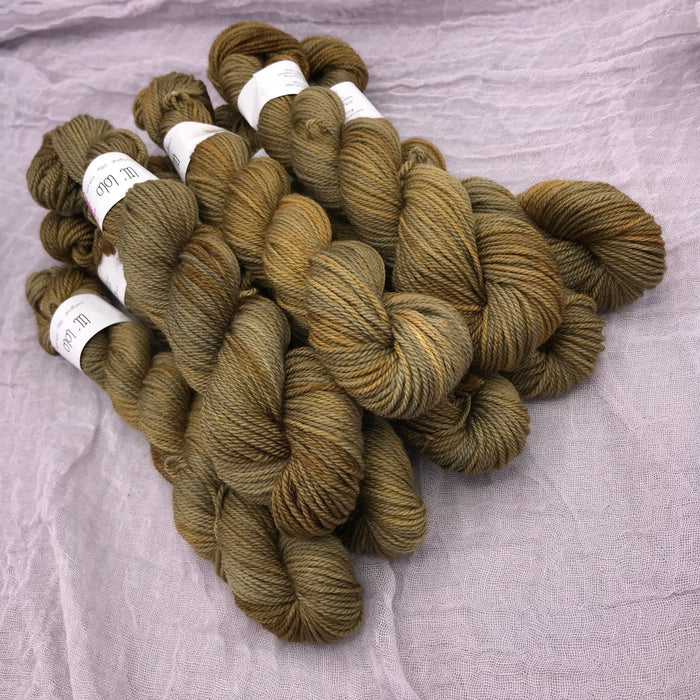 Dragonfly in Amber - Lil Lolo Loriginal - Tonal