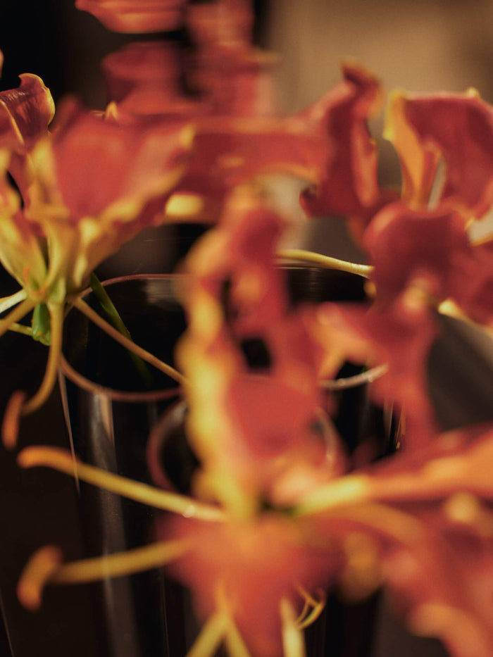 Eddy Wall Vase - BEAM