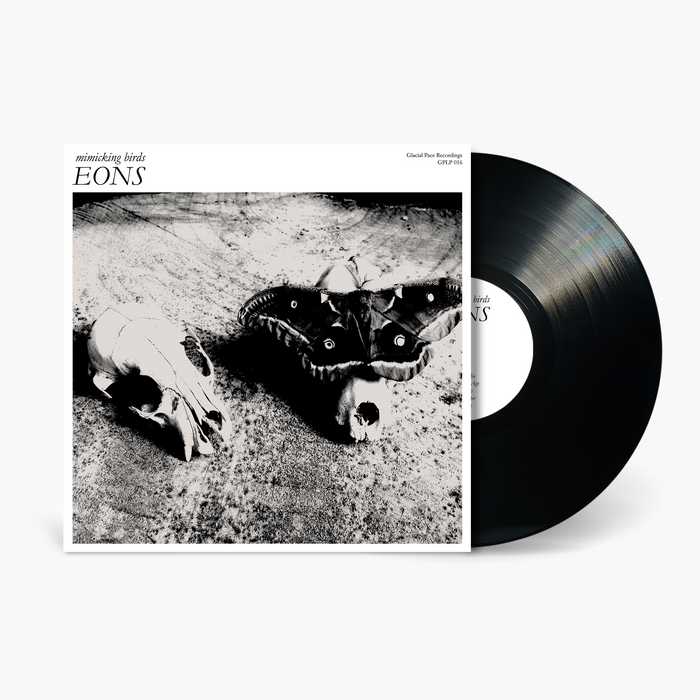 Mimicking Birds - EONS Vinyl & Merch | Fat Possum Records