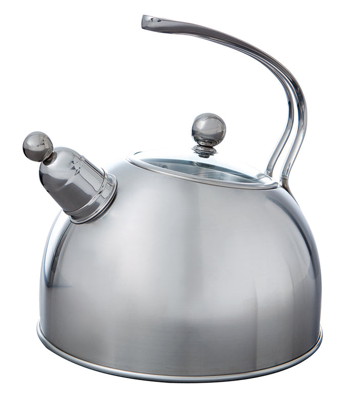 Excellent fluit fluitketel zilver, fluitketel