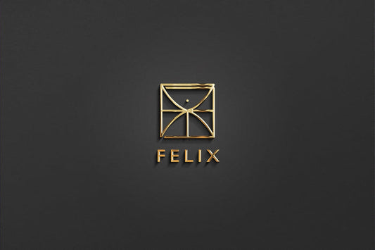 FELIX - Name Logo Design | Instant Download | Premade Logo | Minimalist Design