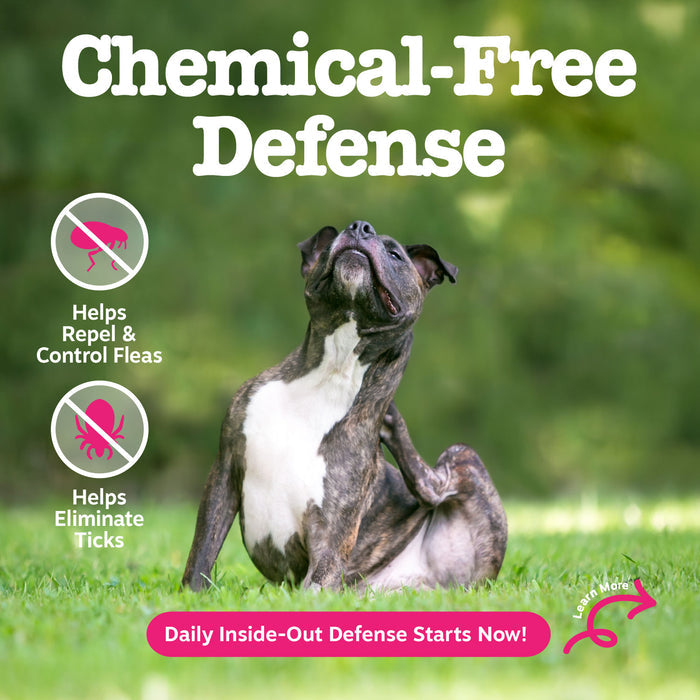 Brindle and white dog standing on grass with text about chemical-free flea and tick defense product.
