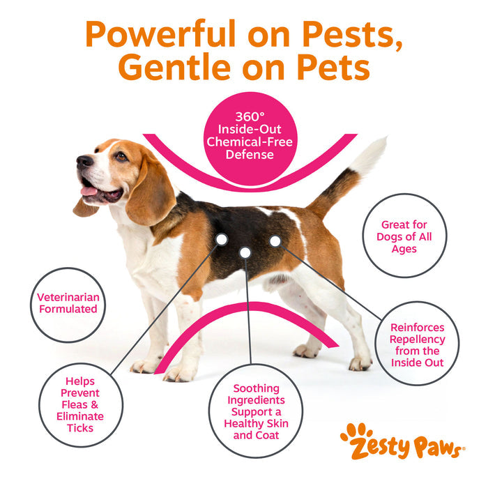 Brown and white beagle with product benefit callouts highlighting flea and tick defense features.