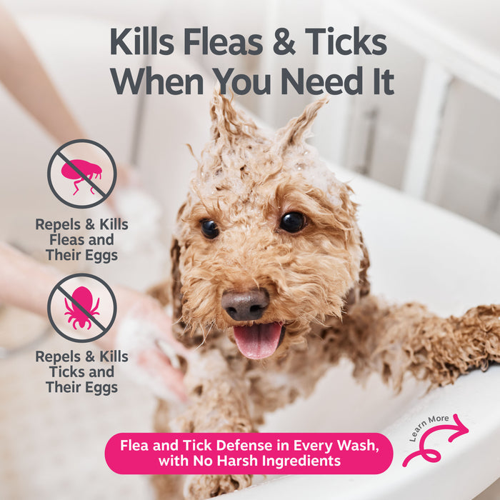 Flea & Tick Shampoo for Dogs