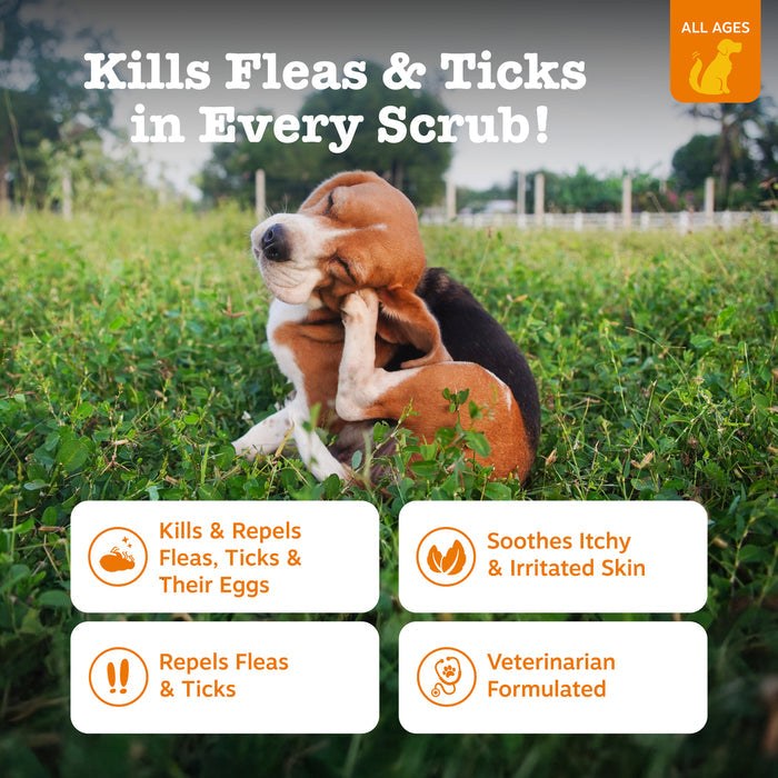 Brown and white dog scratching in grass field with product benefits displayed below.