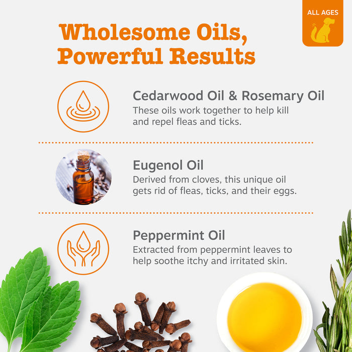 Flea and tick shampoo infographic featuring cedarwood oil, rosemary oil, eugenol oil, and peppermint oil with ingredient desc